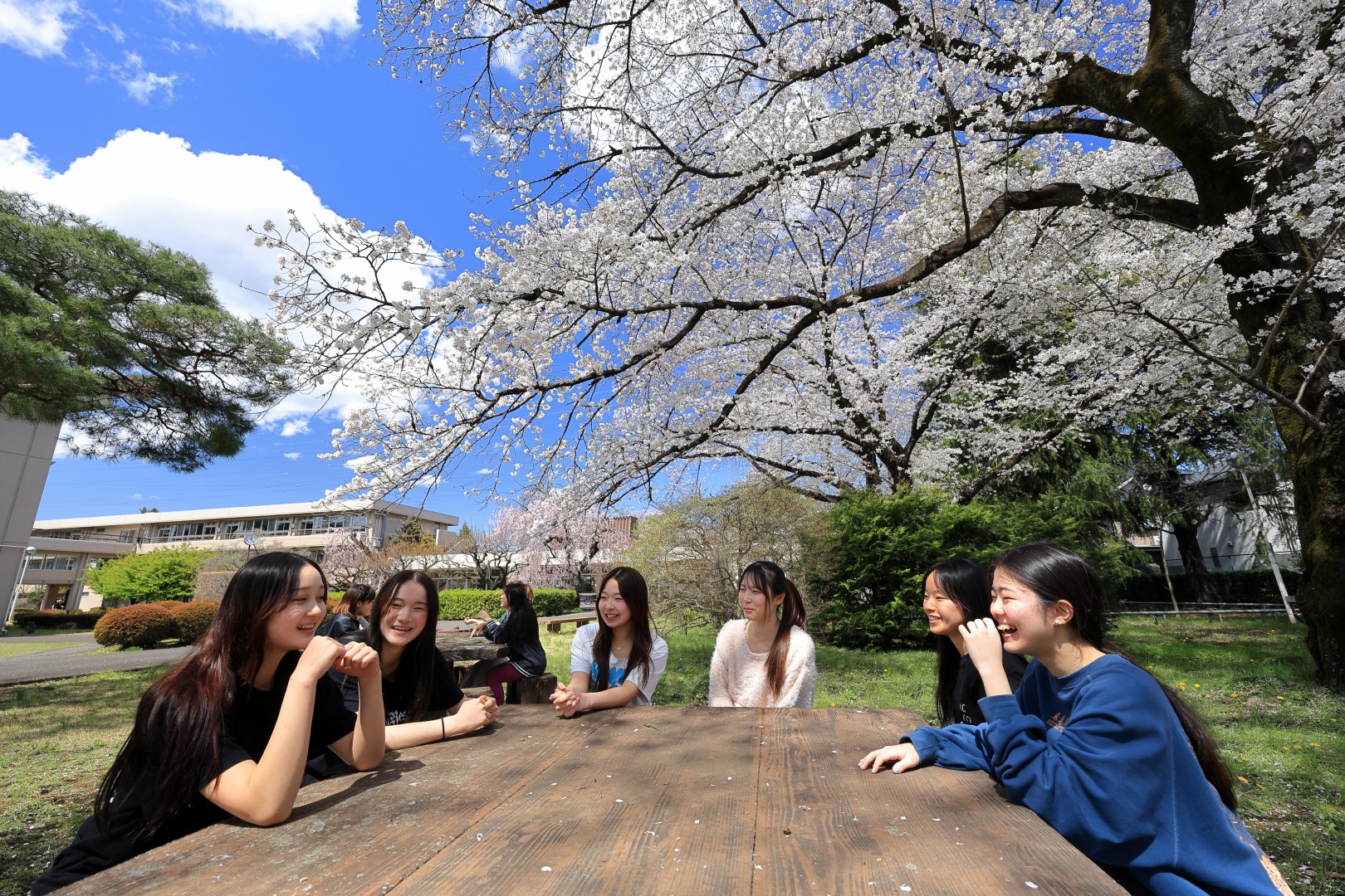 国際 基督教 大学 高等 学校